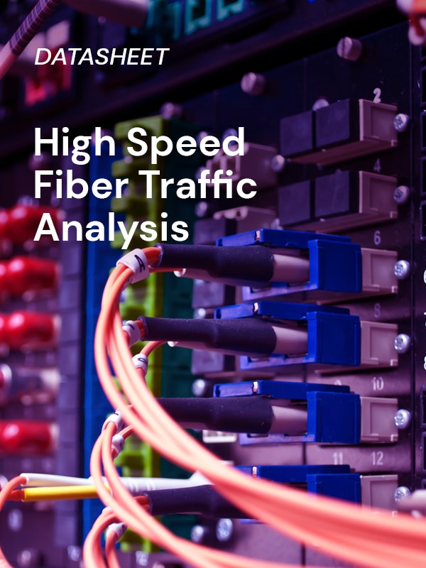 Datasheet - High Speed Fibre Traffic Analysis
