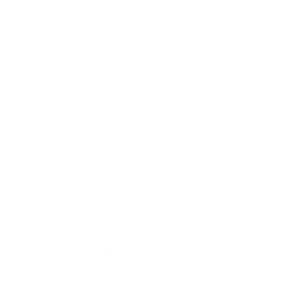 Global Telecom Provider logo